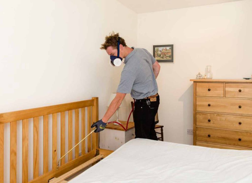 Kitchener Bed Bug Exterminator