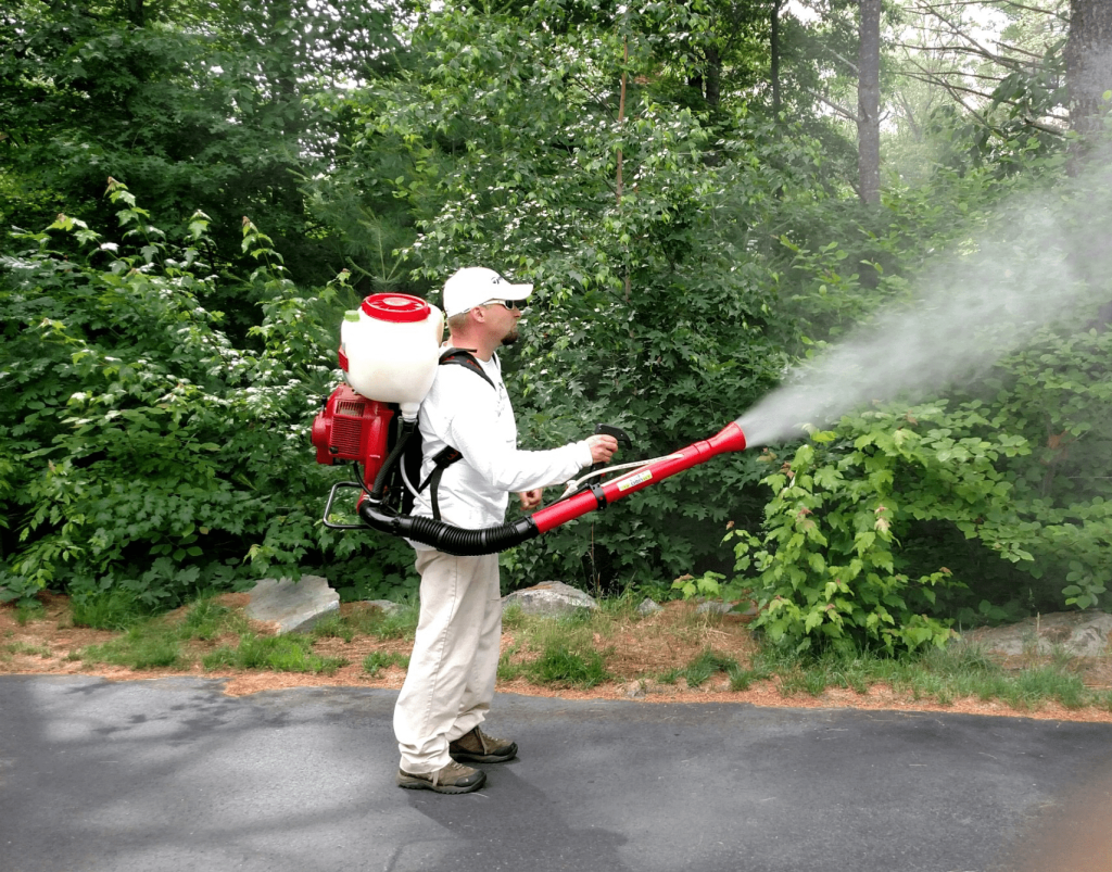 Best Mosquito Control Company