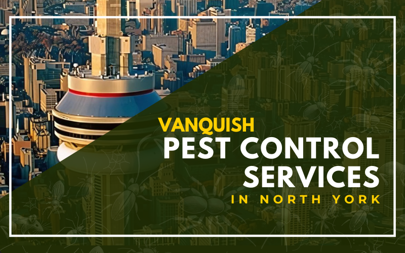 Vanquish Pest Control Services in North York