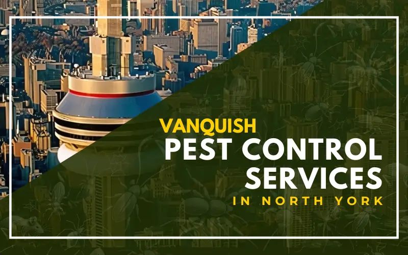 pest control services