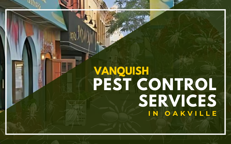 Pest Control Services in Oakville