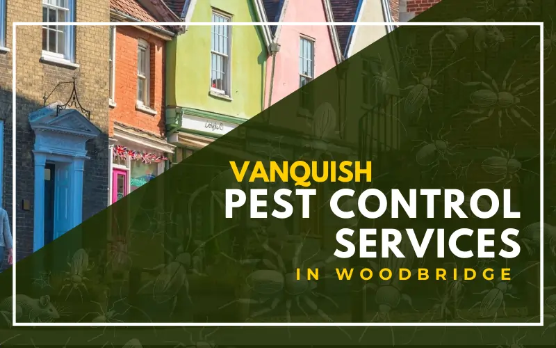 Vanquish Pest Control Services in Woodbridge