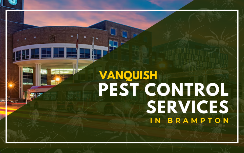 Pest Control Brampton