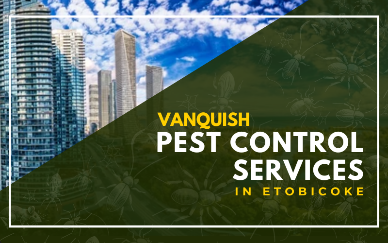 Expert Pest Control in Etobicoke