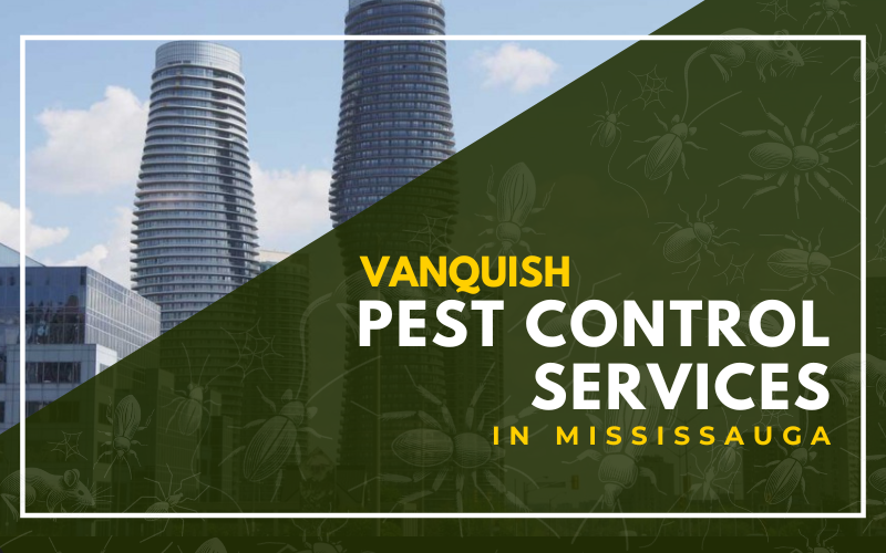 Pest Control Mississauga