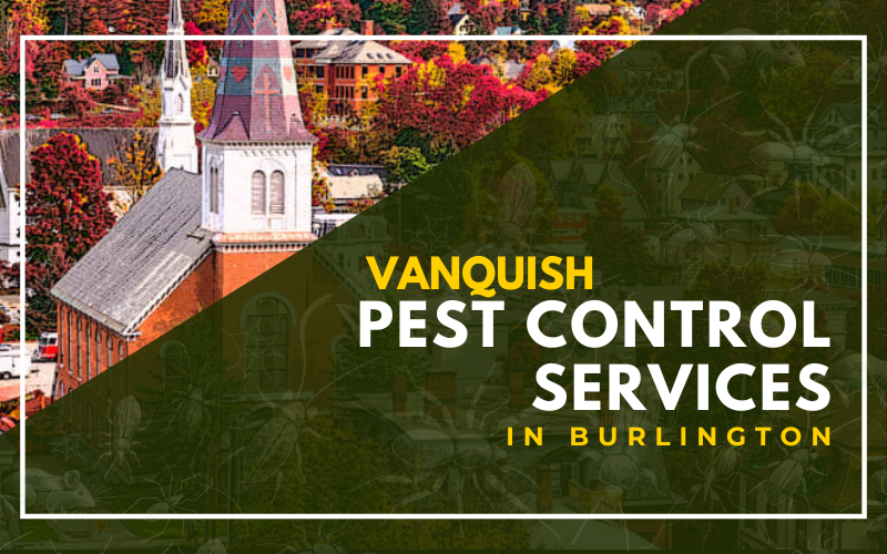 Vanquish Pest Control Services in Burlington