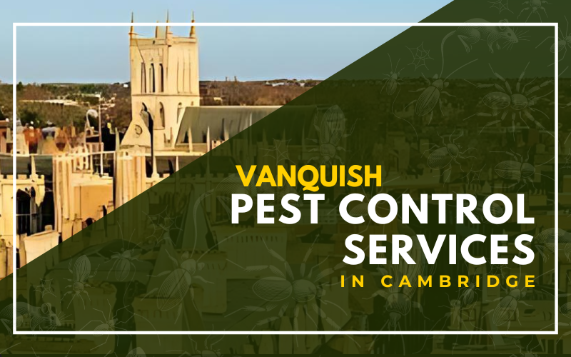 Vanquish Pest Control Services In Cambridge